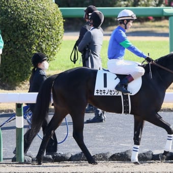 キセキノセンシ　前肢の硬さも問題なし❗️