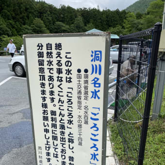 虫刺され後の穴が大きい　と稲村ケ岳へ