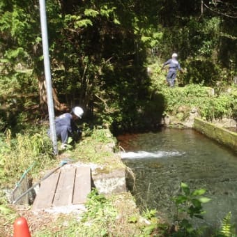 箱根水源地清掃　ボランティア活動