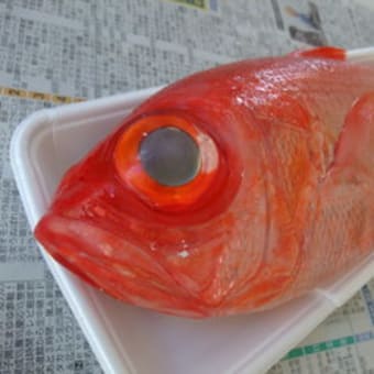 赤い魚