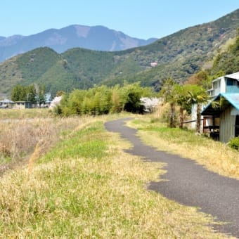 「認知症撲滅」できますが「治療」は？？？