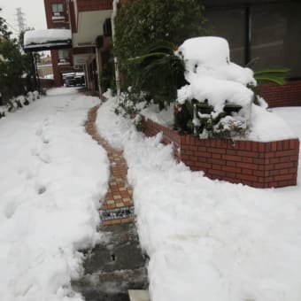マンション・地域の雪かき～大規模災害に耐えられるか