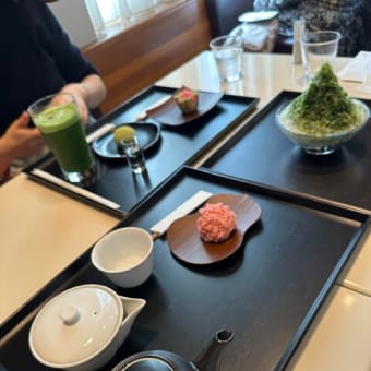 三菱一号館広場のバラと