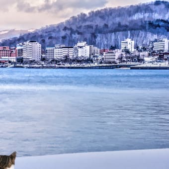 冬の寒さ緩んで猫背治る