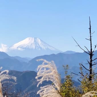 高尾山・小仏城山