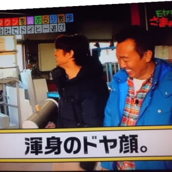 発泡スチロールで…