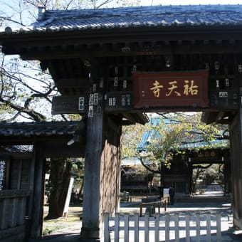 １１月１０日東京の祐天寺にお参りしました。浮島丸殉難犠牲者の遺骨が置かれています。