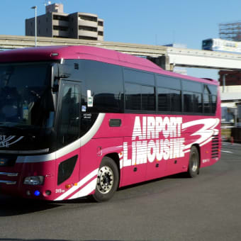 阪神バス 315