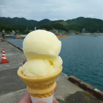 にっぽん丸（あしずり港入港）など（１日目）、四万十テツなど（２日目）で高知をうろうろドライブ！