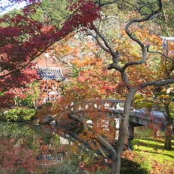 晩秋の京都散策２泊３日の旅リポートです