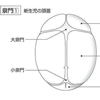 画像一覧 漢字の音符 画像一覧 漢字の音符