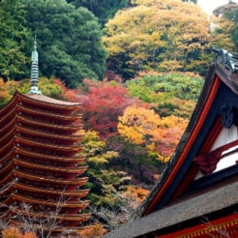 奈良県桜井市の談山神社