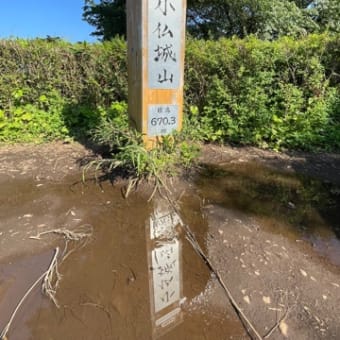 gooブログ書籍化と高尾山シリーズ