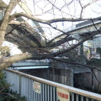 神田川ふたり自転車旅　その９