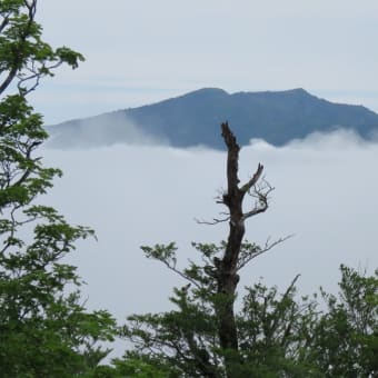 2020/6/20sat  釈迦ケ岳を歩く...