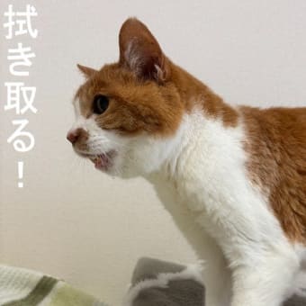今日の水滴