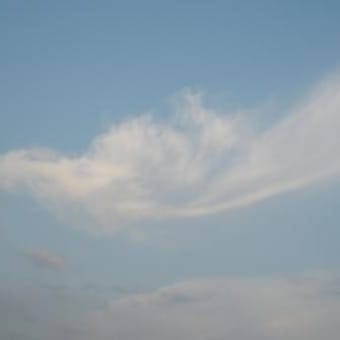市川～船橋で見た雲
