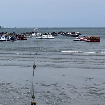 逗子海水浴場の様子
