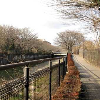 昭和記念公園　２０１１．１．１６