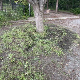 柳原公園サークルベンチ撤去その２