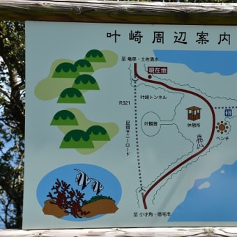 にっぽん丸（あしずり港入港）など（１日目）、四万十テツなど（２日目）で高知をうろうろドライブ！