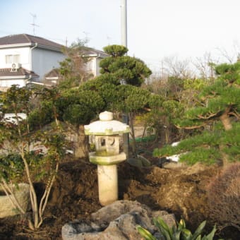 我が店の植木祭り(売出）がいよいよ始まります