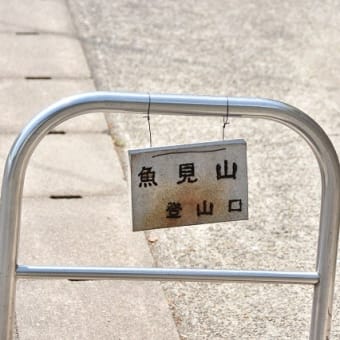 呉基地の満艦飾！などなど、、、（その２）