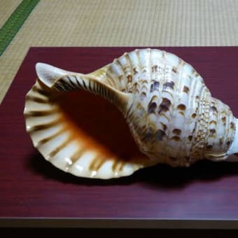 100万年後の因果応報