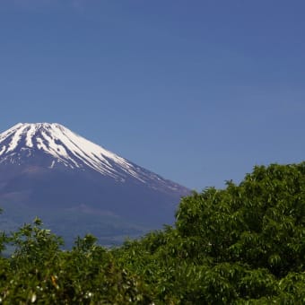 富士山、去年の積雪と今年の積雪、こんなに違う