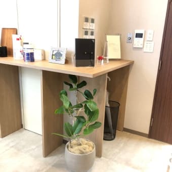 オフィスへの観葉植物レンタル