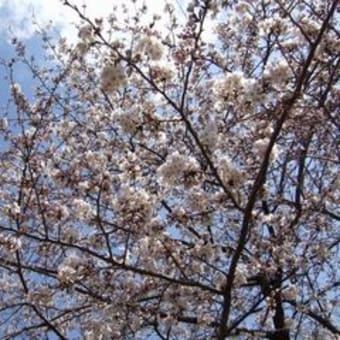 ラボ♪　イースターパーティ