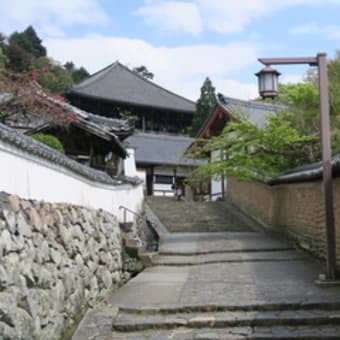 奈良東大寺から二月堂へおしゃべり散歩