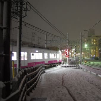 千葉で二年ぶりの積雪　2024年2月