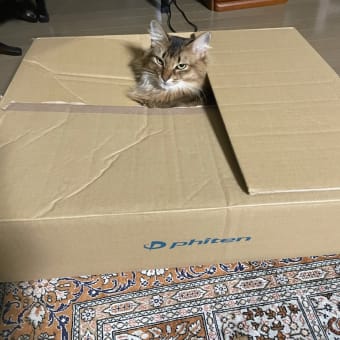 自作のおもちゃ