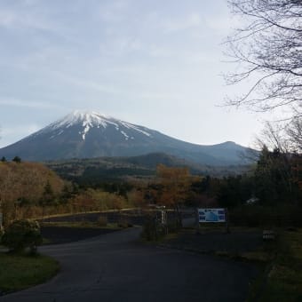 高いトコ行きたい症候群！！