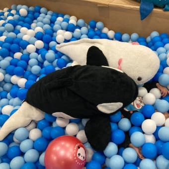 休日って来るまではワクワクで来たら来たで何もする気おきませんよね。