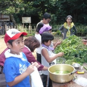 ９月　田んぼの生きもの調査・草木染め