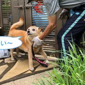 暑い毎日