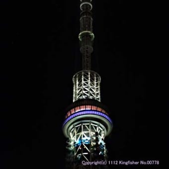 12月24日