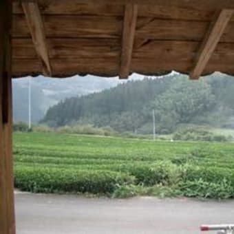 水上村　農家の宿　茶乃実