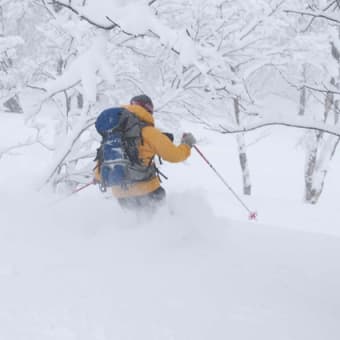 冬の白神山地　田代岳