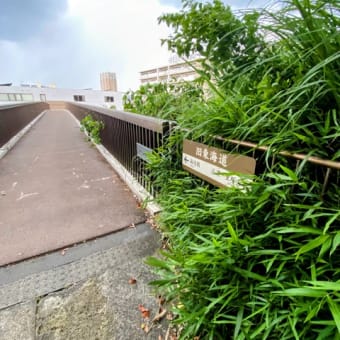 焼餅坂、品平橋、品濃の一里塚、福寿観音、品濃坂