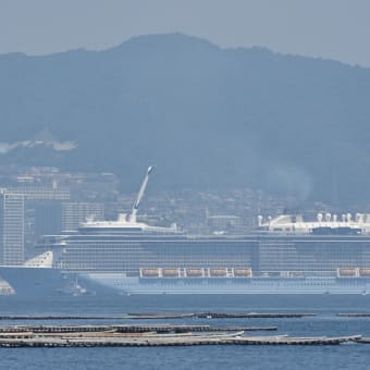 クァンタム・オブ・ザ・シーズ！広島初入港！！