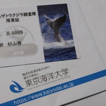 【★開催報告★】わちゃっとVol.12「研究者を海へと駆り立てるクジラの謎」