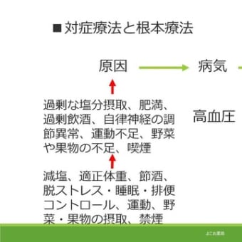 自然との調和を大切に 対症療法ではない漢方治療