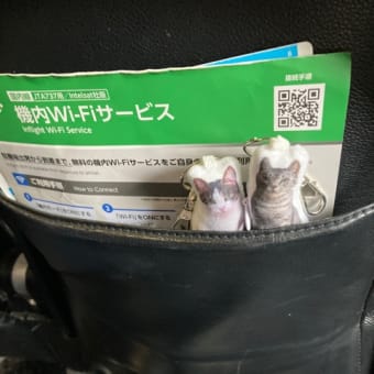 gooブログ　サービス終了…