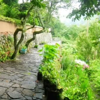 富貴寺 大分豊後高田市