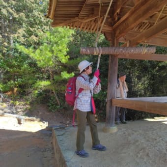 令和６年２月例会登山　「竹林寺篁山」