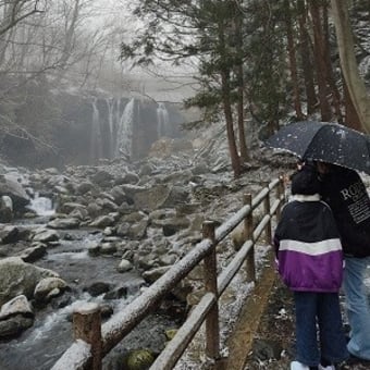 アウトレットと、雪の舞う乙女の滝【２０２４年・栃木那須旅行】
