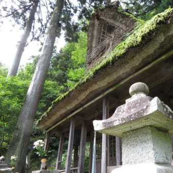 長い歴史の重みを感じた木の芽峠